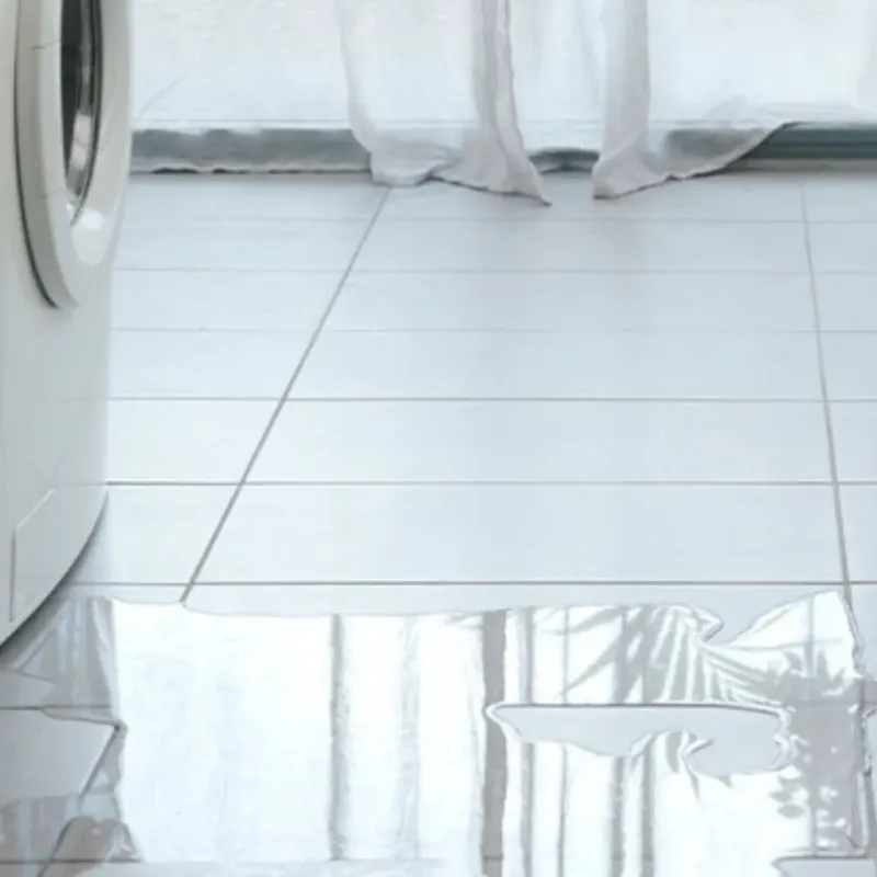 Appliance Leak Cleanup in Tipton County, TN