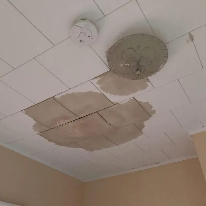 Ceiling Water Damage Repair in Tipton County, TN