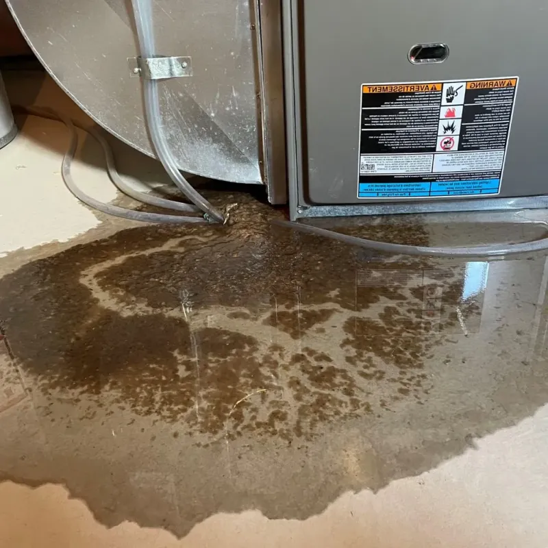 Pipe Burst and Leak Restoration in Tipton County, TN