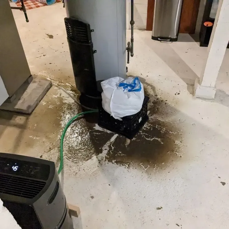 Sewage Backup Cleanup Service in Tipton County, TN
